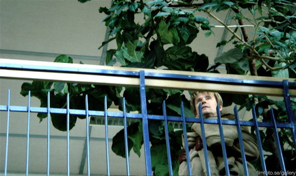 DSC02749