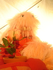 DSC01575